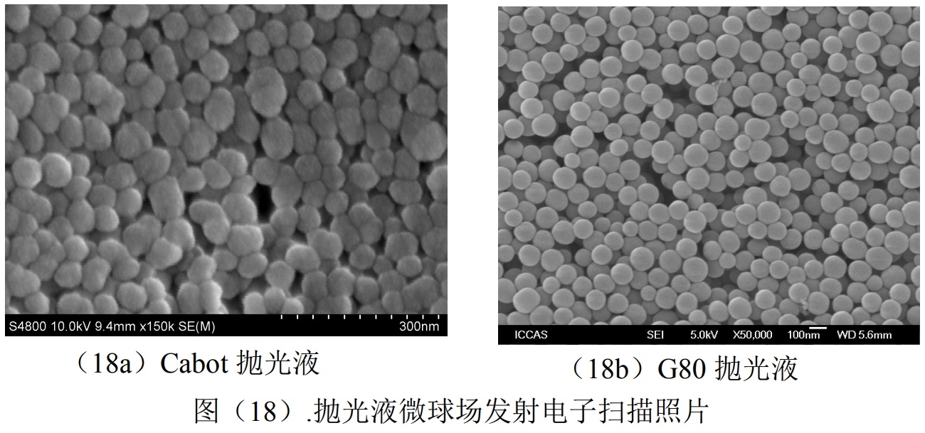 抛光液微球场发射电子扫描照片